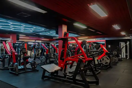 Krachtzone met plate-loaded machines bij Xplosive Gym Helmond